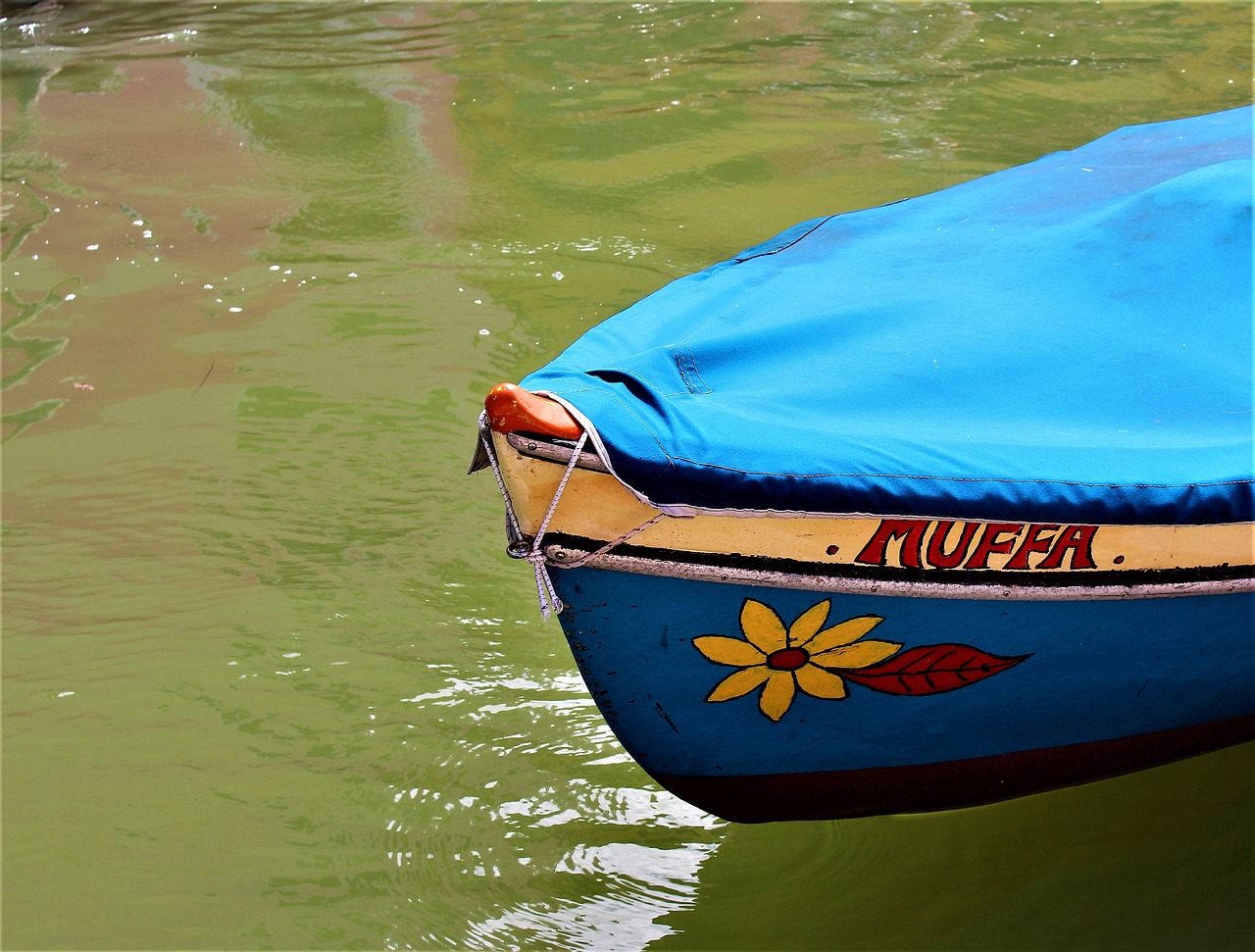 NON PAGARE L’AFFITTO PER MUFFA