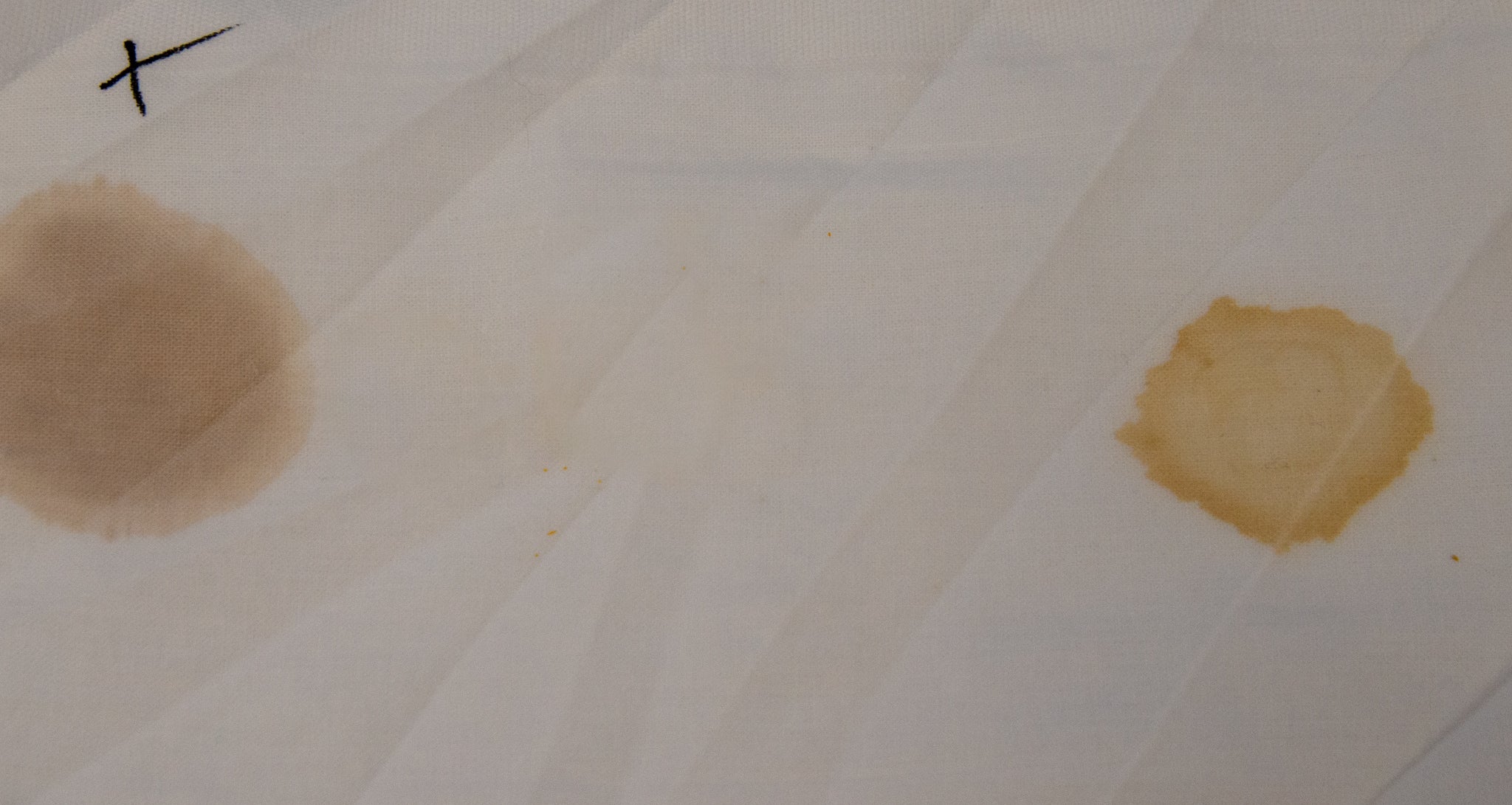 MODULO AUTOCERTIFICAZIONE PER NON PAGARE CANONE TV