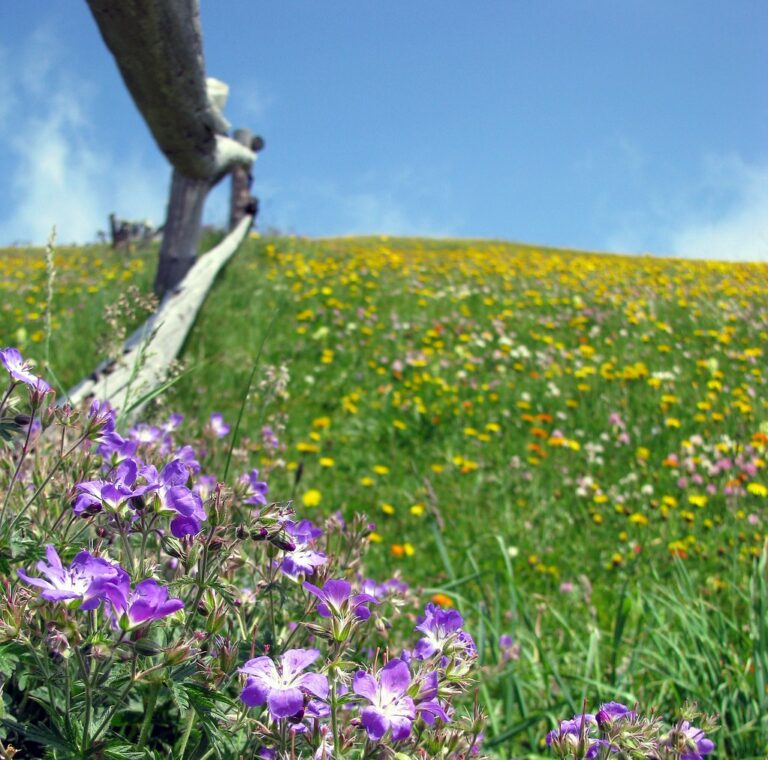 COME NON PAGARE LA SUCCESSIONE