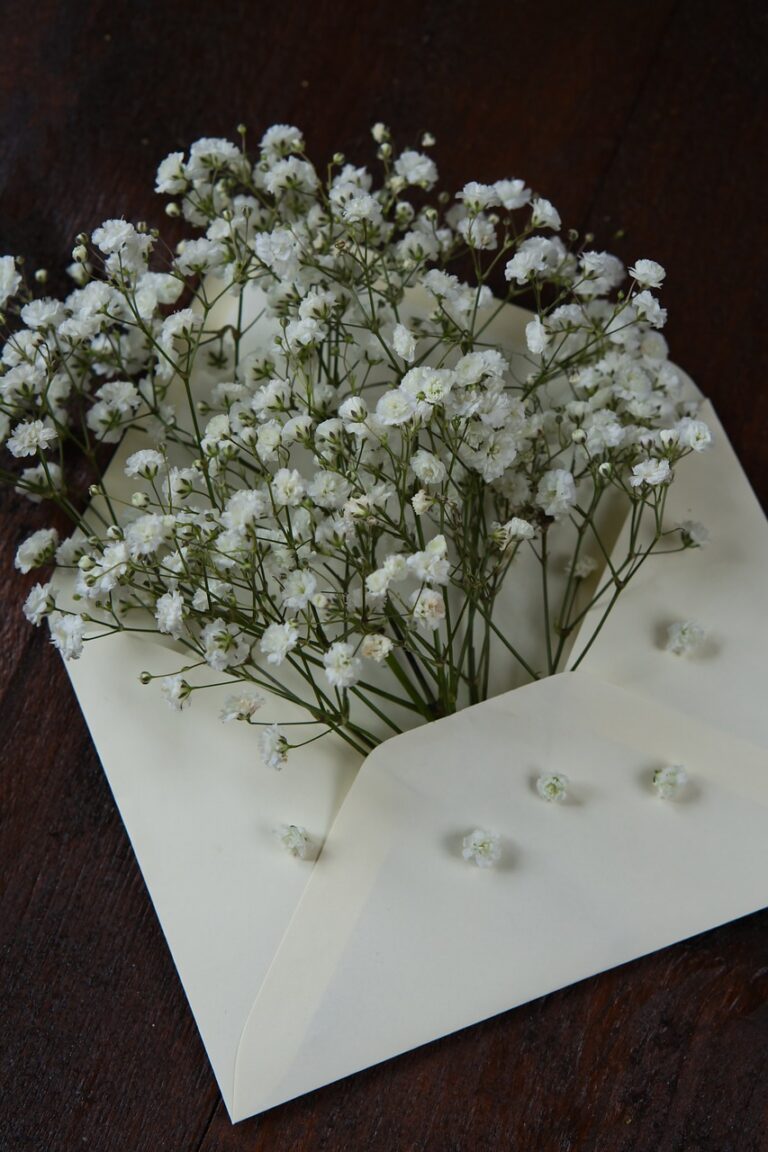 COME PAGARE SPOTIFY CON CARTA REGALO