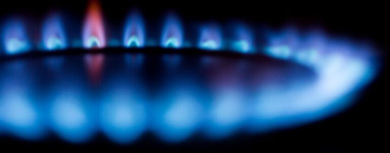 PAGARE BOLLETTA SERVIZIO ELETTRICO NAZIONALE