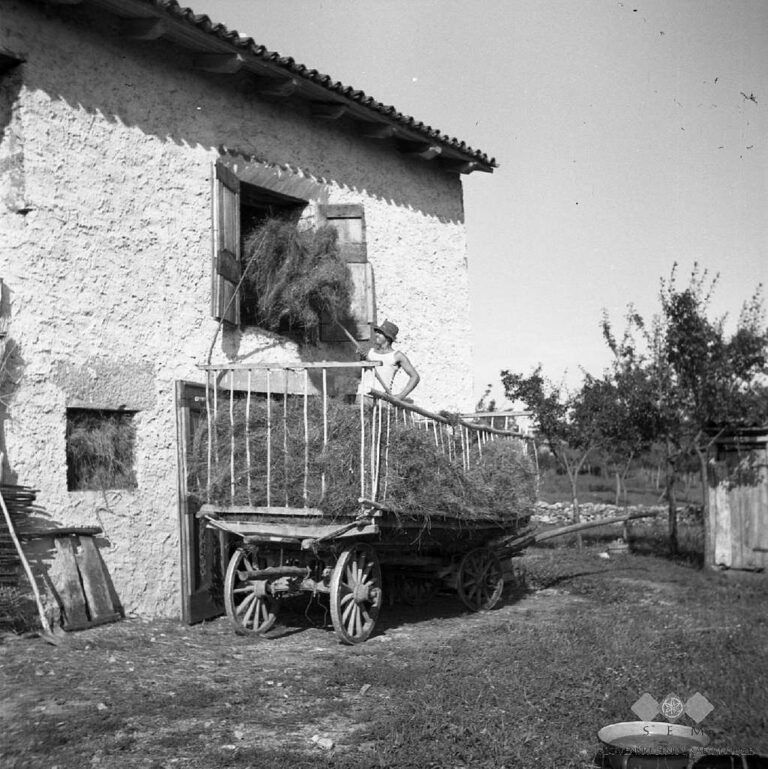 COME RIFARSI IL SENO SENZA PAGARE